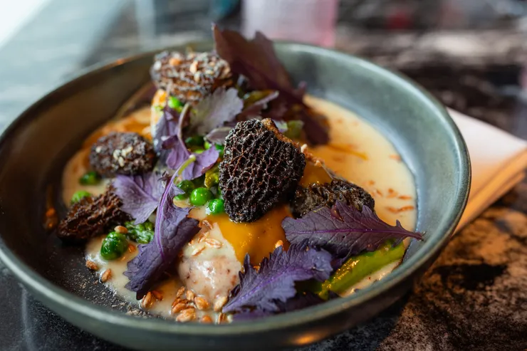 Plat gastronomique élégamment dressé